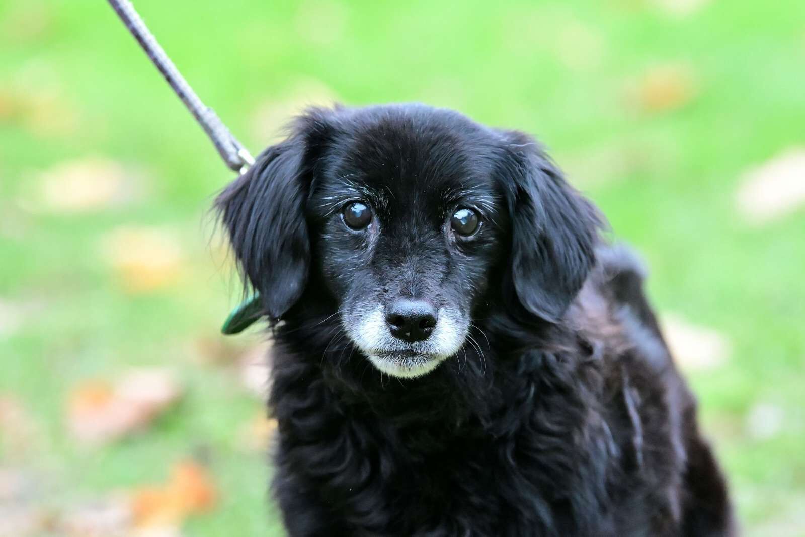 utulek 11 2025male--201